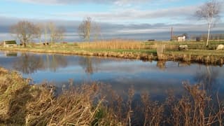 Zon in Echten Friesland.