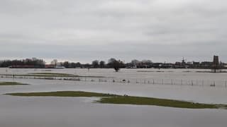 Hoogwater en grijs weer langs de Waal