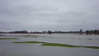 Langs de Waal op grijze dag en hoogwater in de Waal