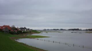 Langs de Waaldijk met hoogwater en grijs weer 