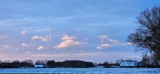 Zachte qinterkleuren