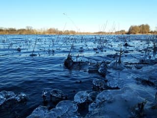 Frisse middagwandeling