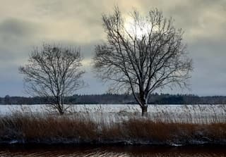 Winterwonderland in Veele. 