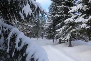 Winter