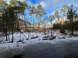 IJs op de paden en een zonnetje erbij 