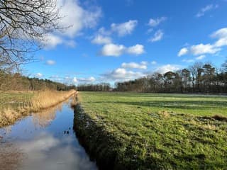 Spiegeling in het water 