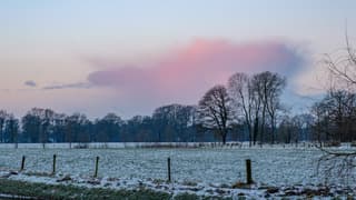 Roze wolk