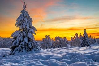 Winterse zonsondergang op de Mont Rigi