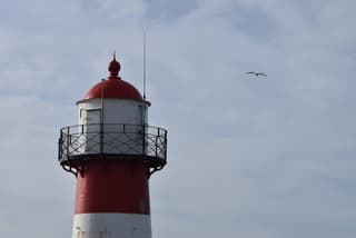 Zonnige momenten vanmiddag