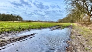 Nog steeds veel water.