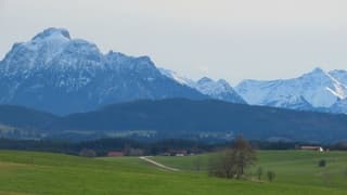 Alpen: boven 1000m wit