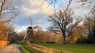 Late middagzon bij Lonneker molen