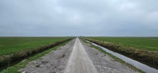 Nog fris hoor 