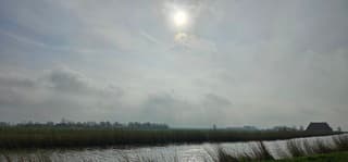 Een voorzichtig zonnetje 