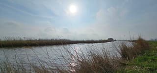 Voorzichtig zonnetje 