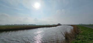 Voorzichtig zonnetje 