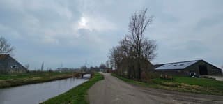 Voorzichtig zonnetje 