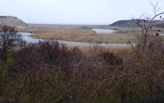 Doorkijkje naar het strand