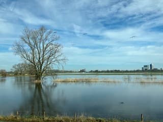 Het water staat nog steeds hoog.