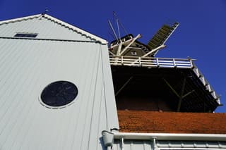 De molen in Burdaard draaide goet rond op de straffe oostenwind met een blauwe lucht.