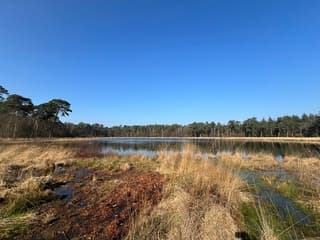 Strakblauwe lucht boven het Besthemerven