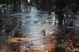 IJs beschenen door een heerlijk zonnetje 