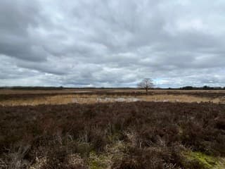 Dreigende wolken boven het Mantingerzand