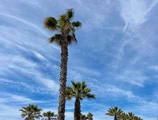 Wind en zon in de Algarve