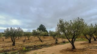 Bewolkte dag vanmiddag droger