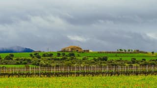 Laaghangende bewolking wel droger