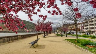 Lichte opklaring tussen de wolkenvelden hèèl veel wind 
