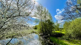 Fietspad Nederwoudse beek