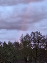 070424 roze regenboog 
