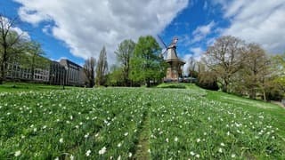 Een prachtige dag in Bremen 