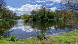 De Körnerwall in Bremen vanmiddag 