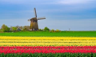 Nevelige zonsopkomst bij Zuidschermer