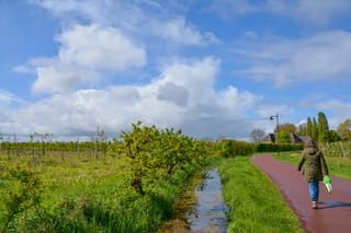 Zon,wolken en buien
