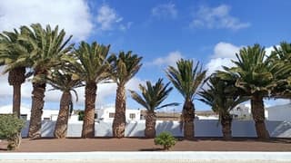 Het is behoorlijk winderig op Lanzarote 