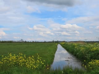 maar ook blauwe lucht zo nu en dan.