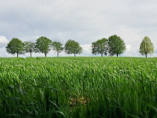 Bewolking in Zuid-Limburg 