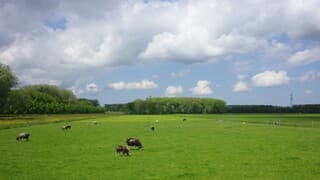 Hollandse wolkenluchten en de prachtige natuur van dit moment 