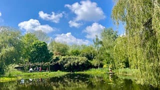 Een heerlijke lentedag , deze bevrijdingsdag 