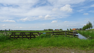 Zon en (sluier)wolken 