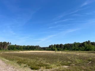 Mooie blauwe lucht voor moederdag