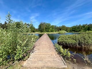 Prachtige lucht boven het vlonderpad