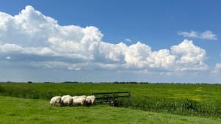 Heerlijk zomerweer