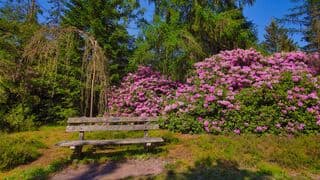 De hele dag zon en wat wind 