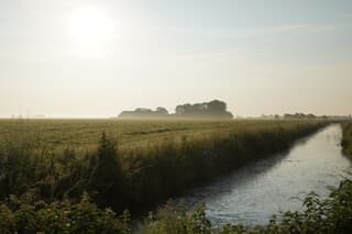 Zonsopkomst, felle zon, dauw boven het land, eendjes in de sloot 