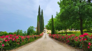 Donkere wolken boven  Gardameer... Vanmorgen was er nog een strakblauwe lucht, in zeer korte tijd ontstaat hier de bewolking 