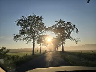Zon en mist
